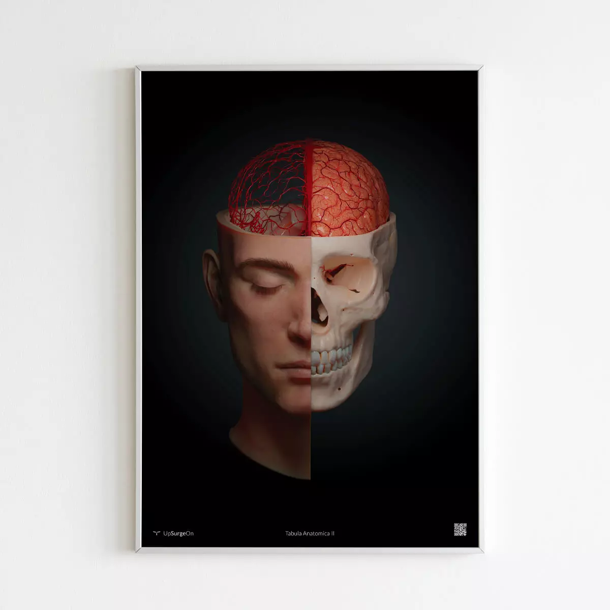  AnatomyARt Tabula Anatomica II