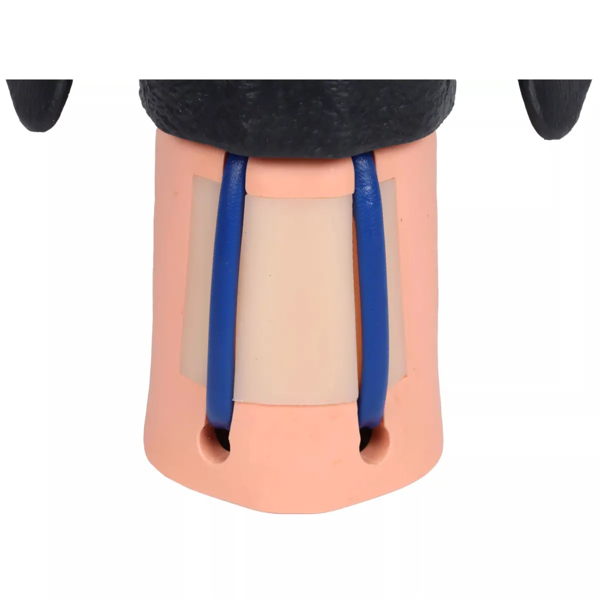 Tête d'entraînement pour ponction veine jugulaire – chien Tête d'entraînement pour ponction veine jugulaire – chien