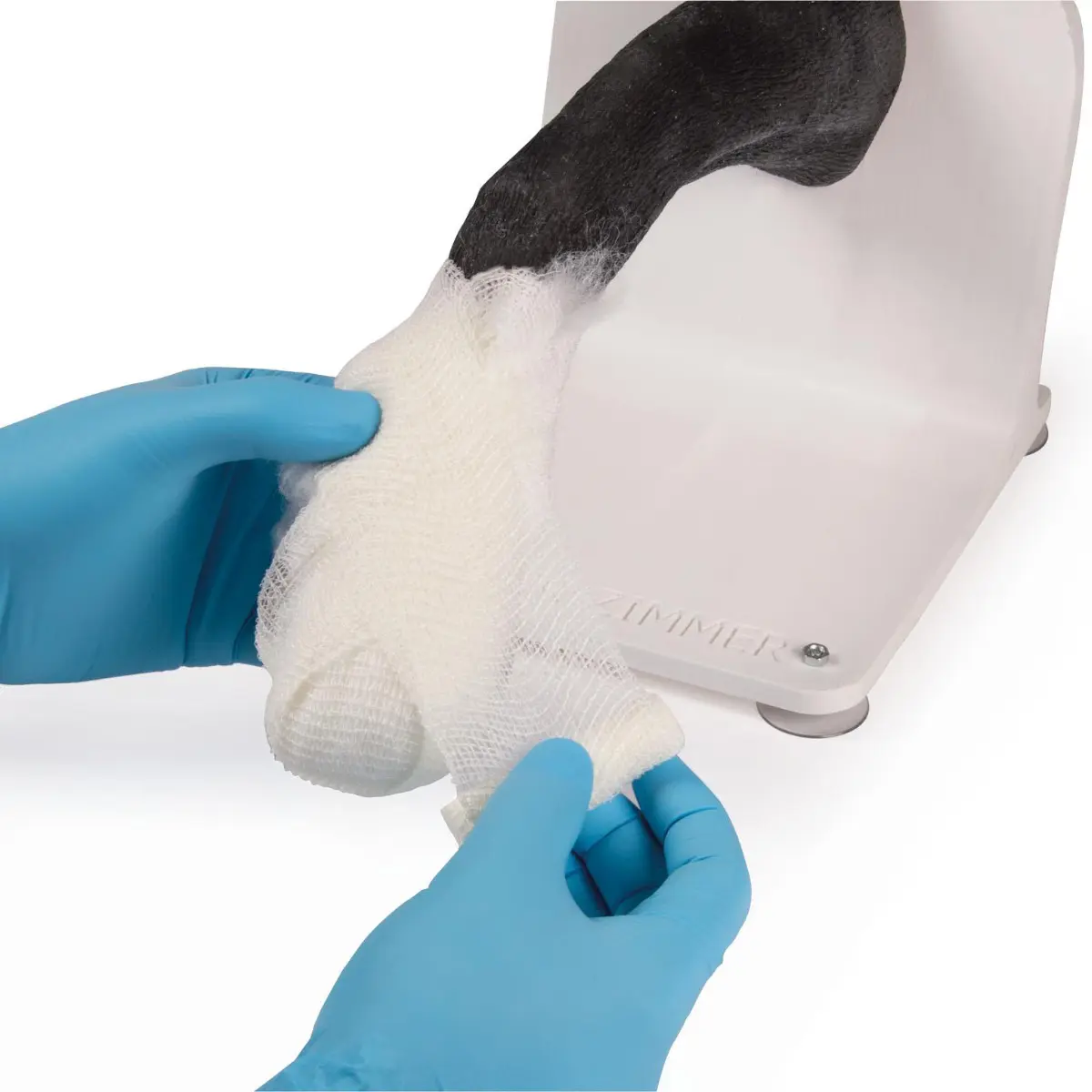 Entraîneur à la mise de bandage – patte de chien Entraîneur à la mise de bandage – patte de chien