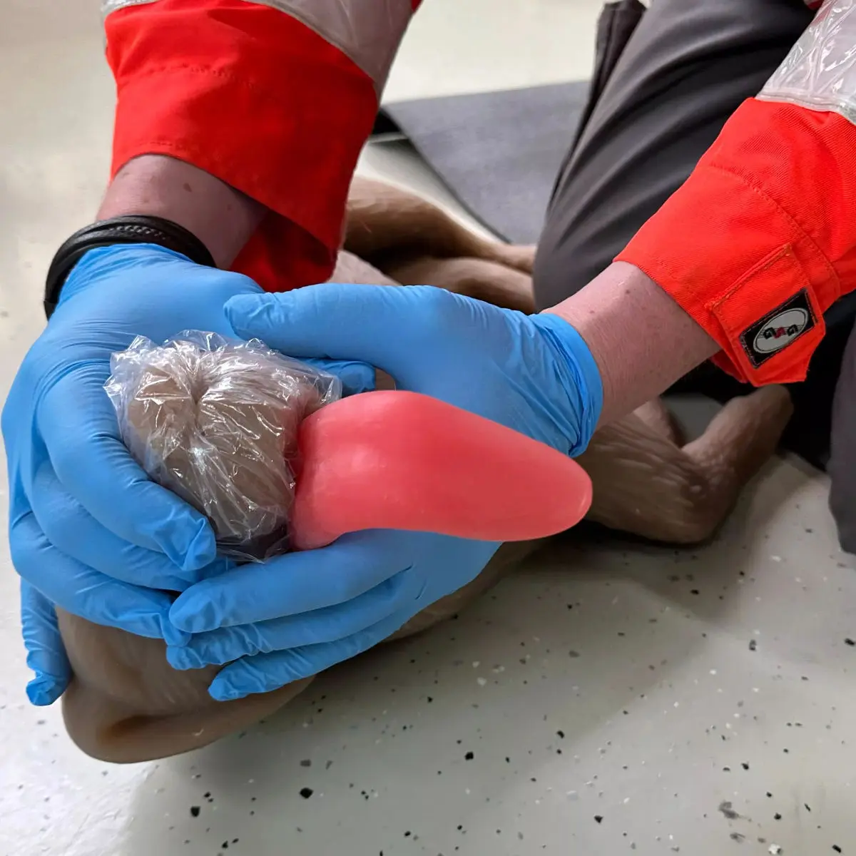  Mannequin de réanimation chez le chien « CooPeR »