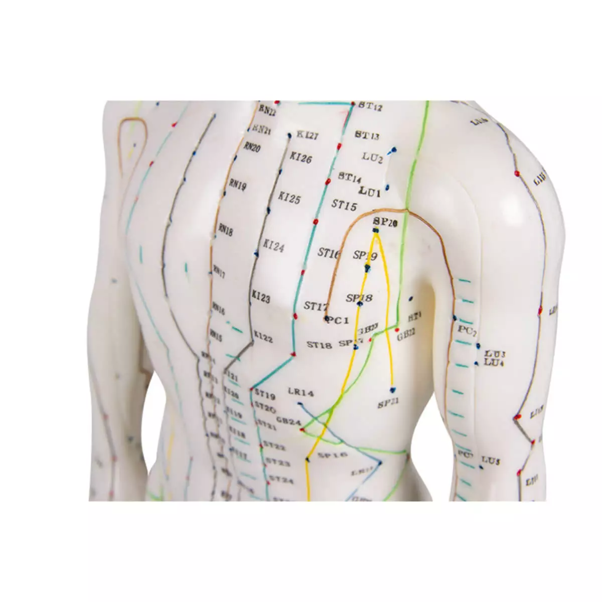 Figure d'acupuncture
