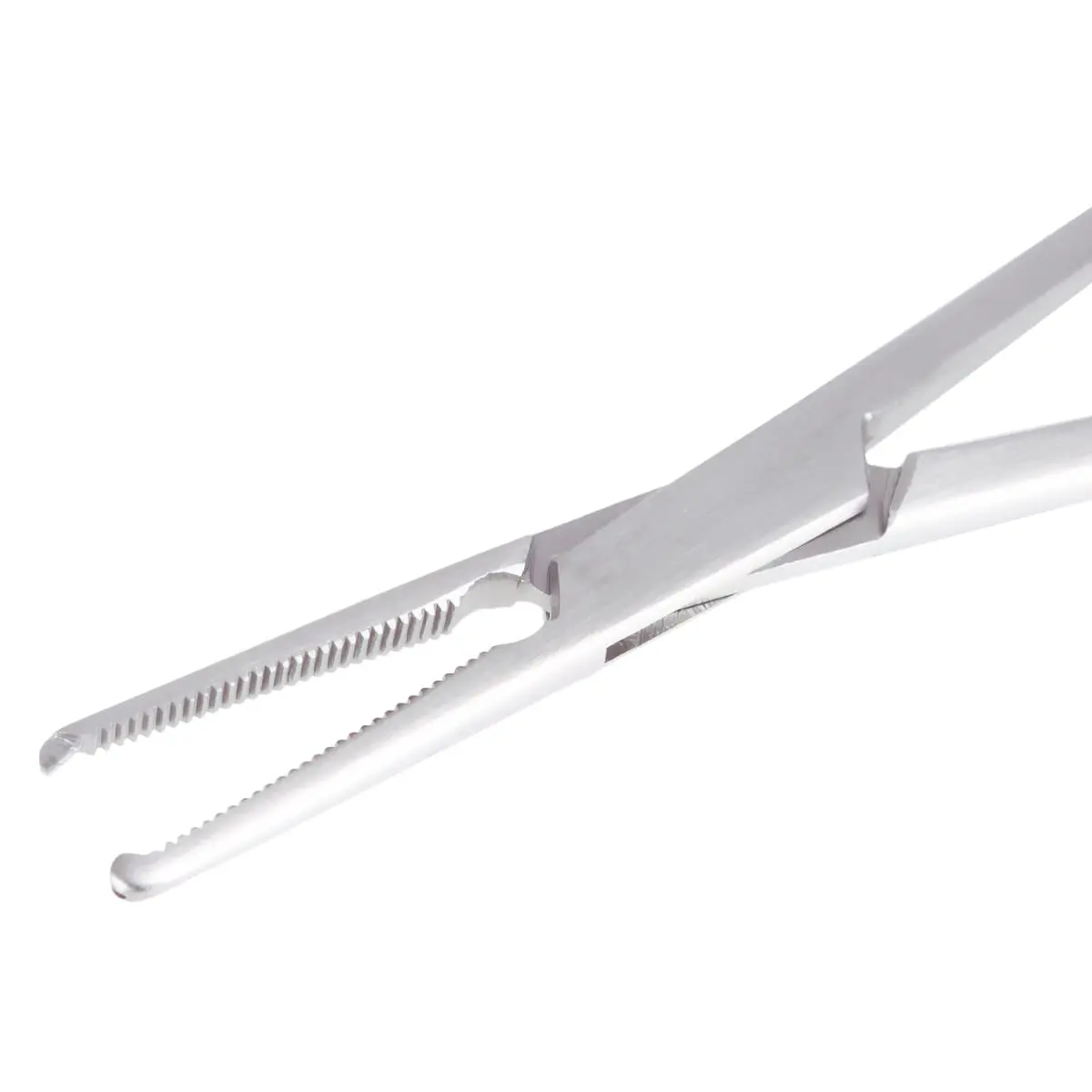 Forceps Mosquito Forceps Mosquito