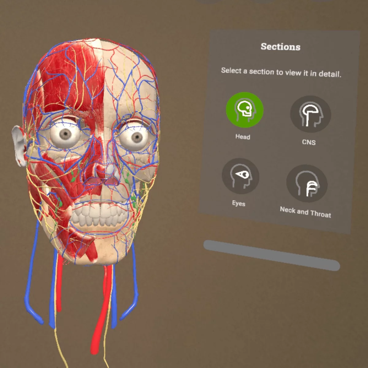 Application d’anatomie en réalité mixte « Corpus » pour Meta Quest 3/3S Application d’anatomie en réalité mixte « Corpus » pour Meta Quest 3/3S