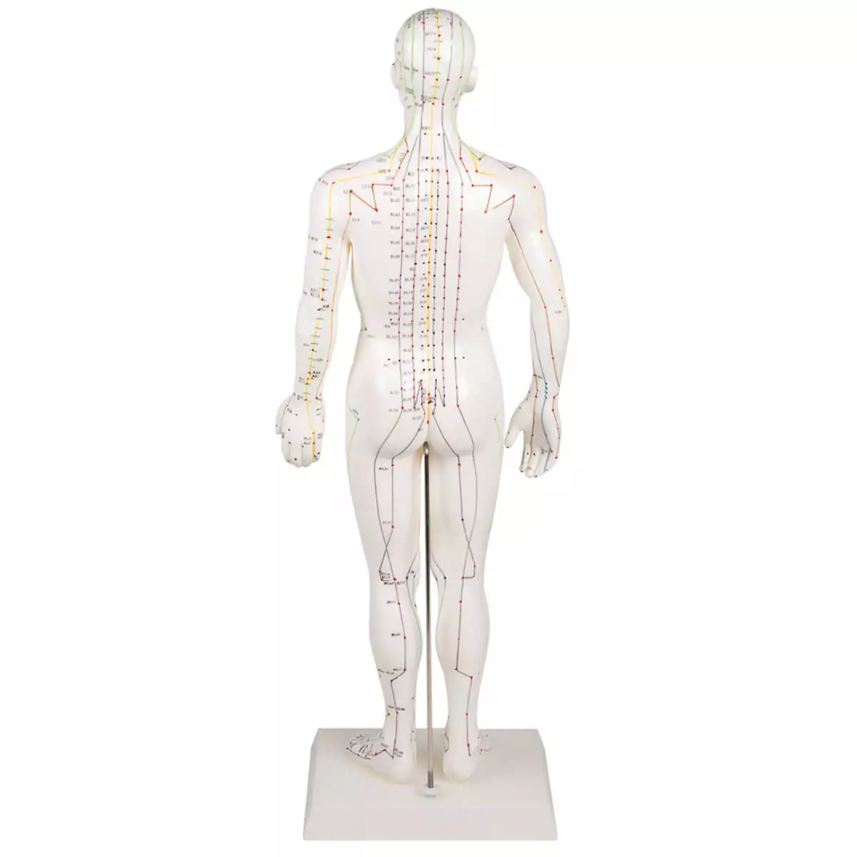  Figure d'acupuncture