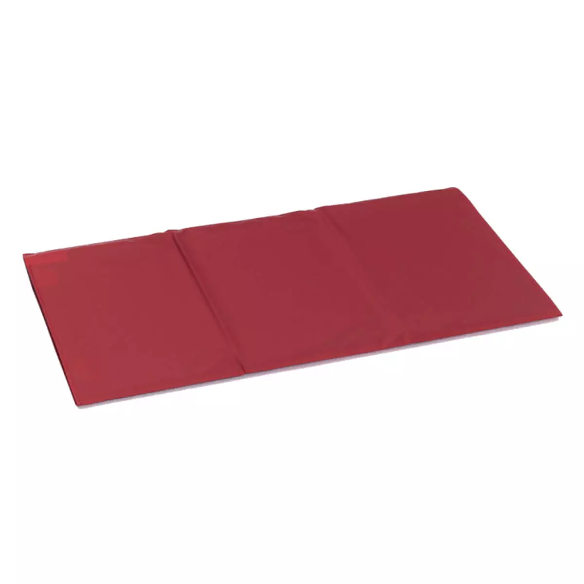  Planche de transfert Flex