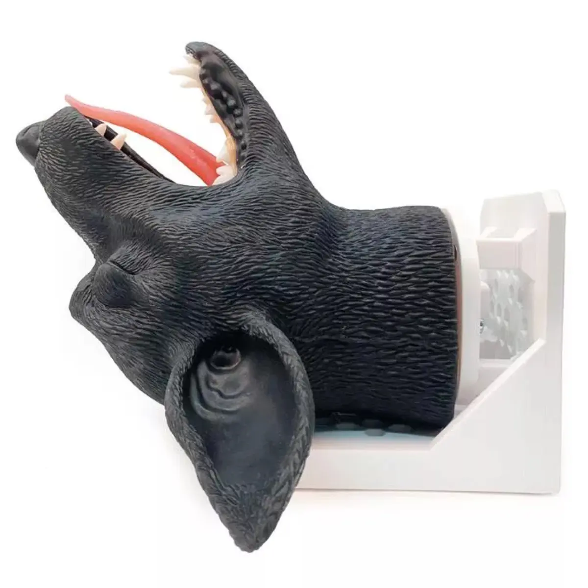 Tête d’intubation – chien Tête d’intubation – chien