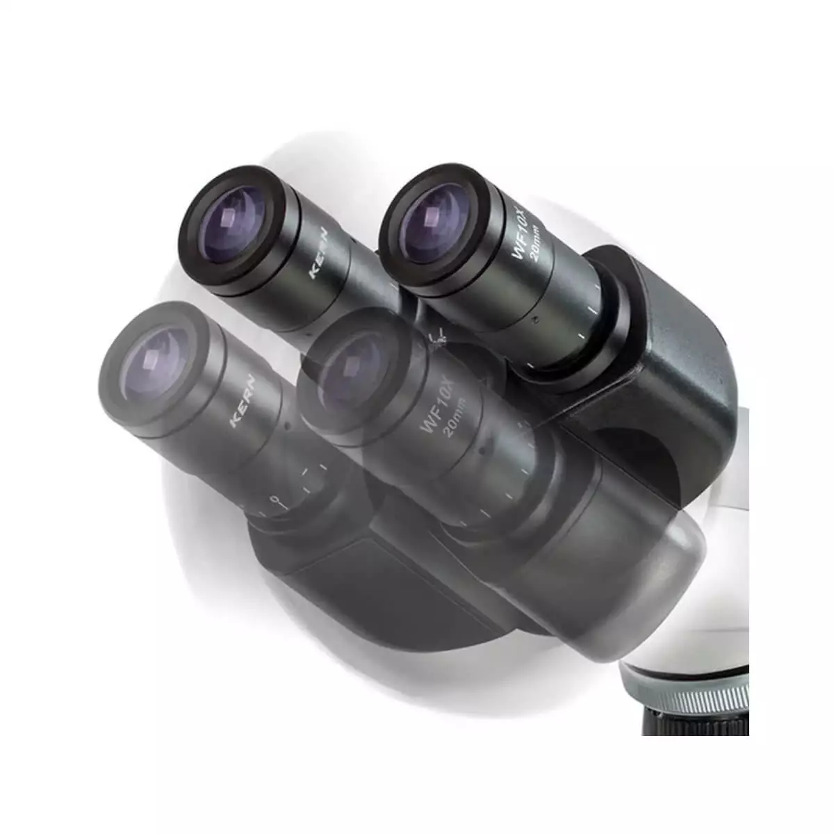  Microscope à contraste de phase trinoculaire OBL 156