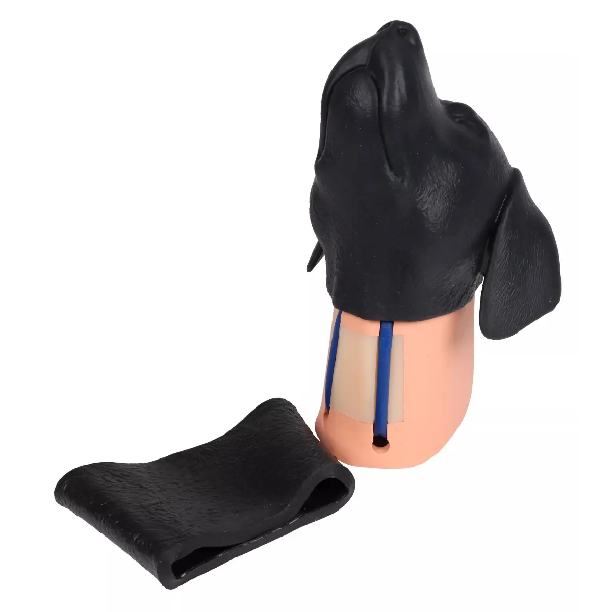 Tête d'entraînement pour ponction veine jugulaire – chien Tête d'entraînement pour ponction veine jugulaire – chien