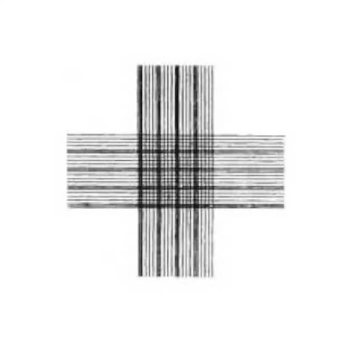  Hématimètre