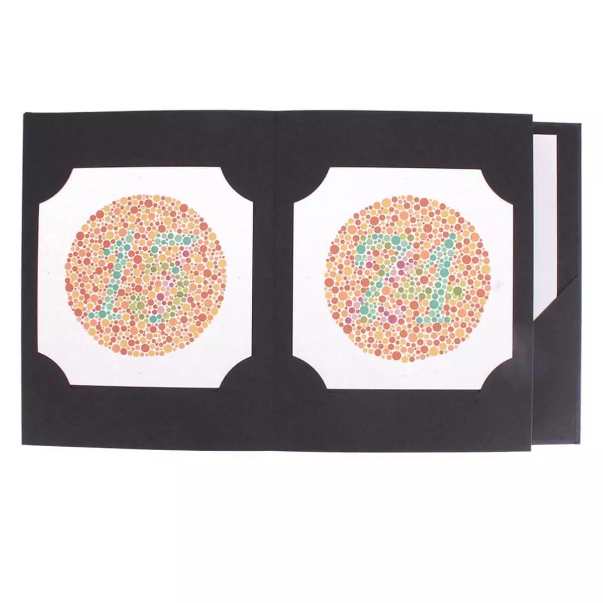  Planches de couleur Ishihara