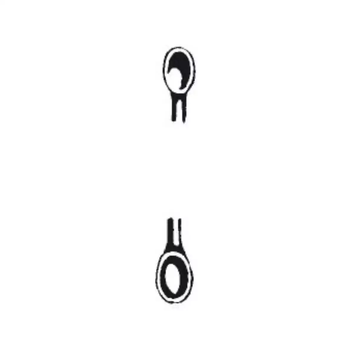 Curette double de Willinger DocCheck