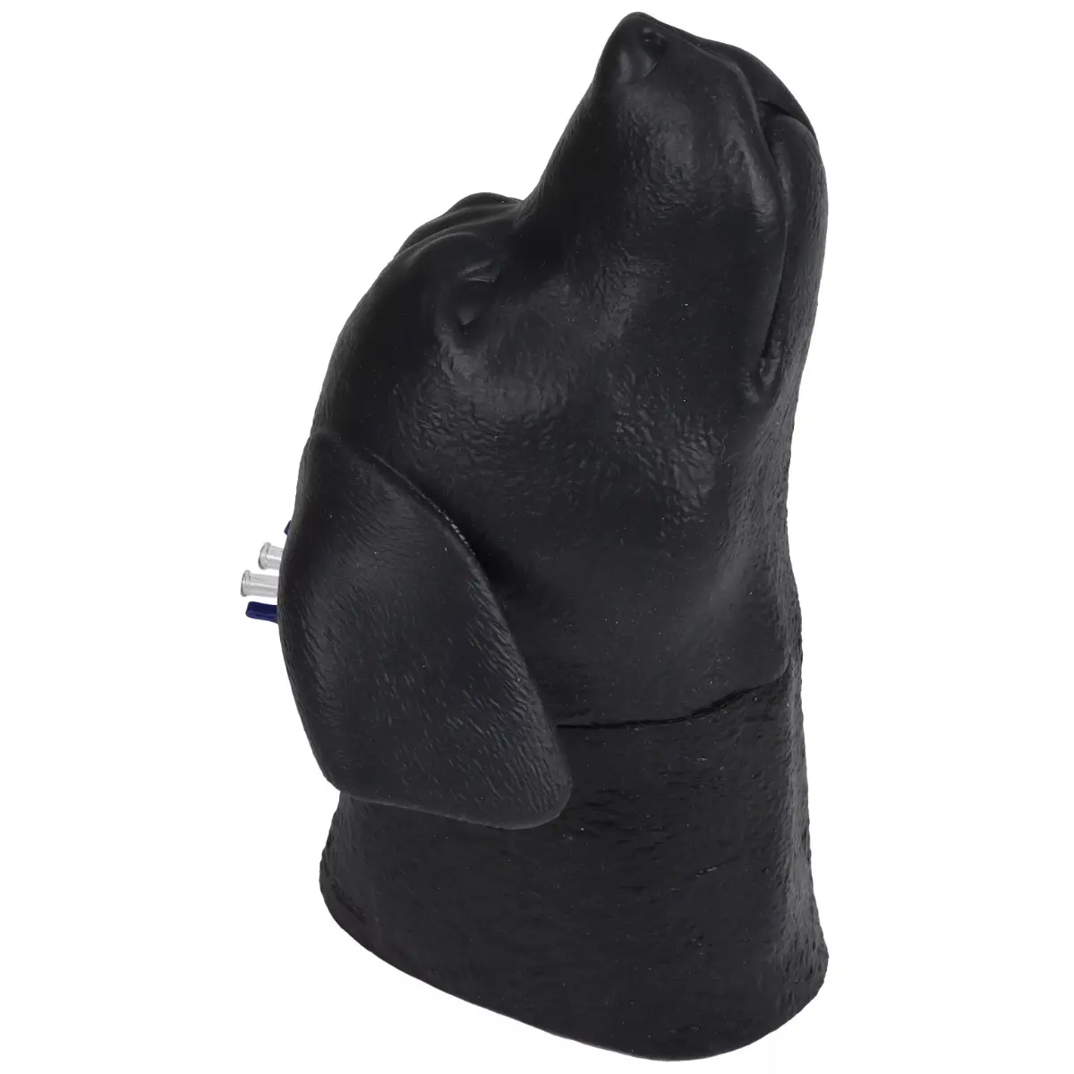 Tête d'entraînement pour ponction veine jugulaire – chien Tête d'entraînement pour ponction veine jugulaire – chien