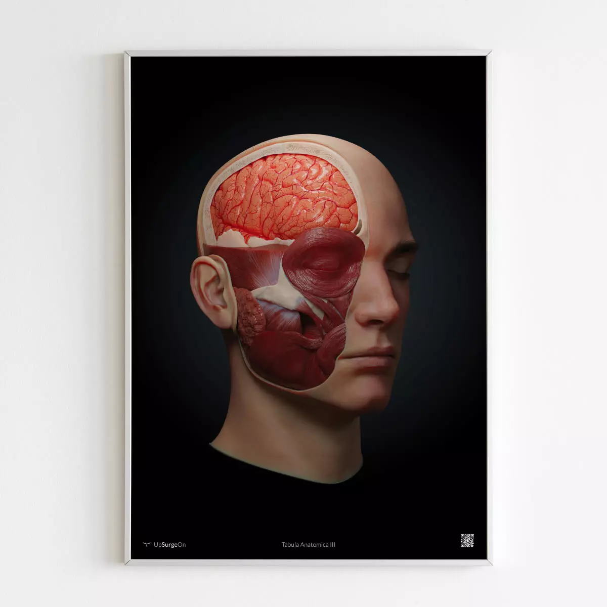  AnatomyARt Tabula Anatomica III