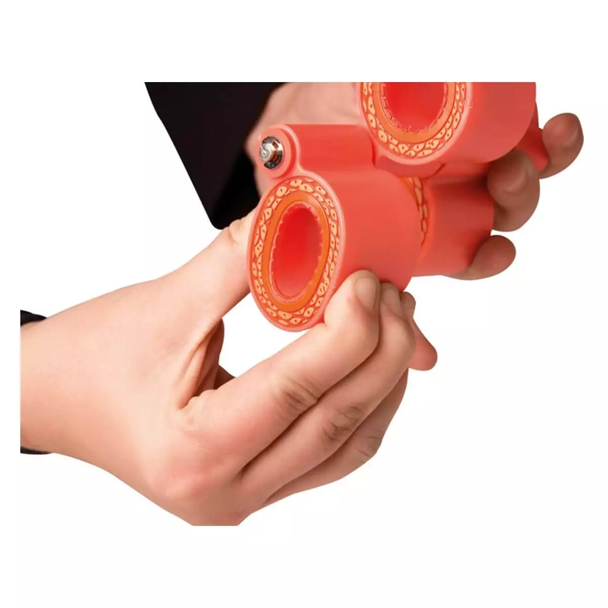  Modèle d'artériosclérose