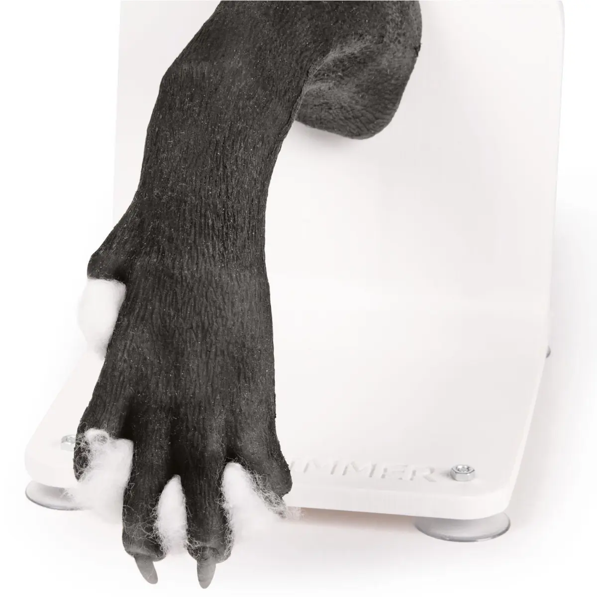 Entraîneur à la mise de bandage – patte de chien Entraîneur à la mise de bandage – patte de chien