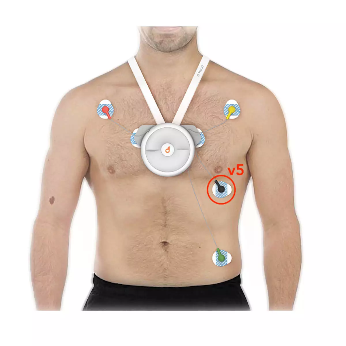  Appareil d’ECG mobile D-Heart à 8 et 12 pistes