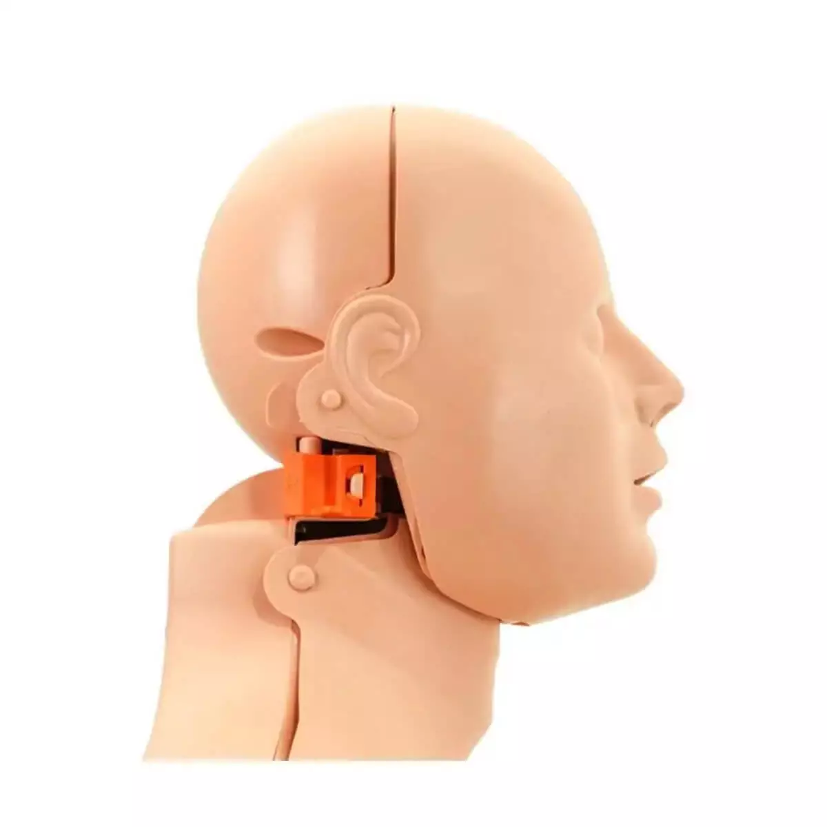  Mannequin de formation au secourisme 2 en 1 Practi-Man