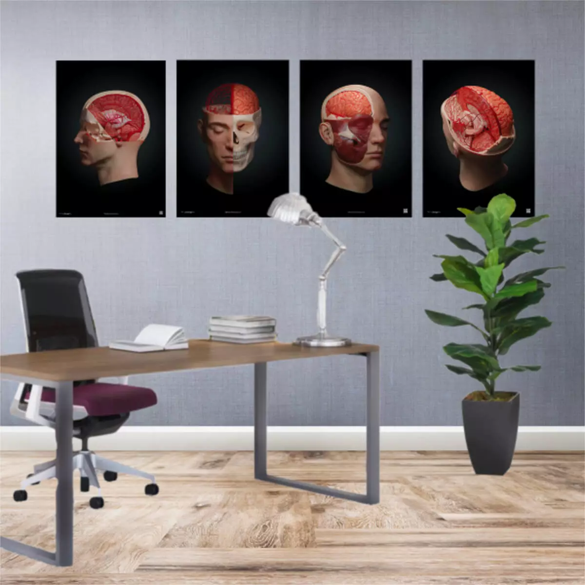  Collection AnatomyARt