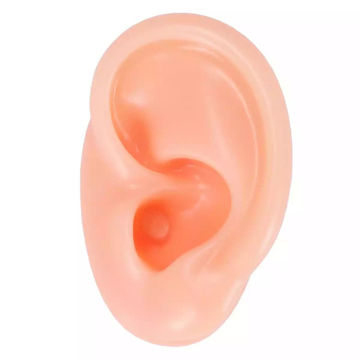 Oreille d'acupuncture  Oreille d'acupuncture