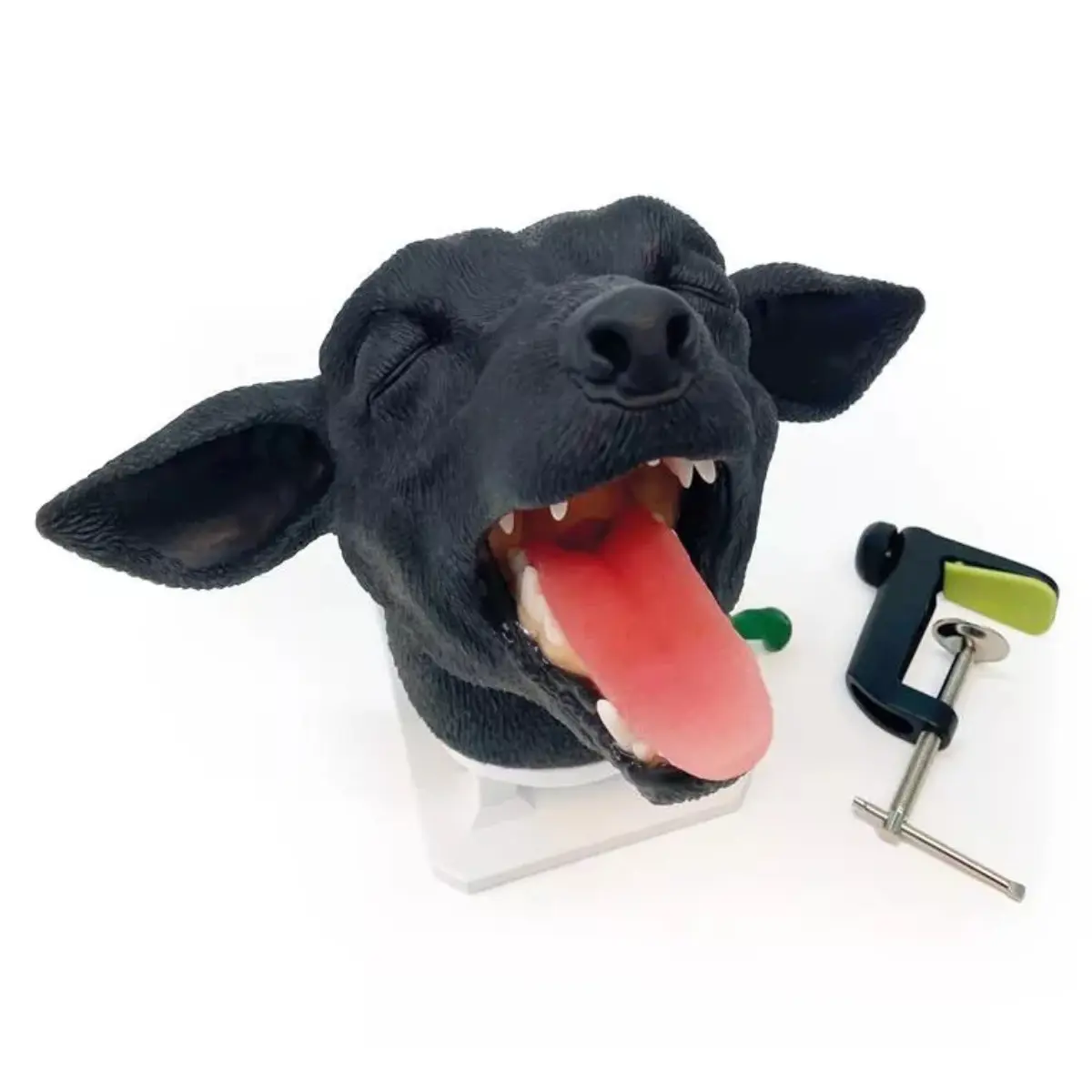 Tête d’intubation – chien Tête d’intubation – chien