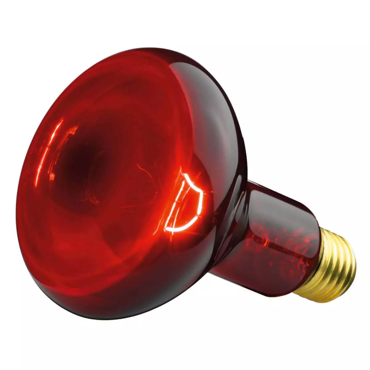  Lampe de rechange pour IL 11