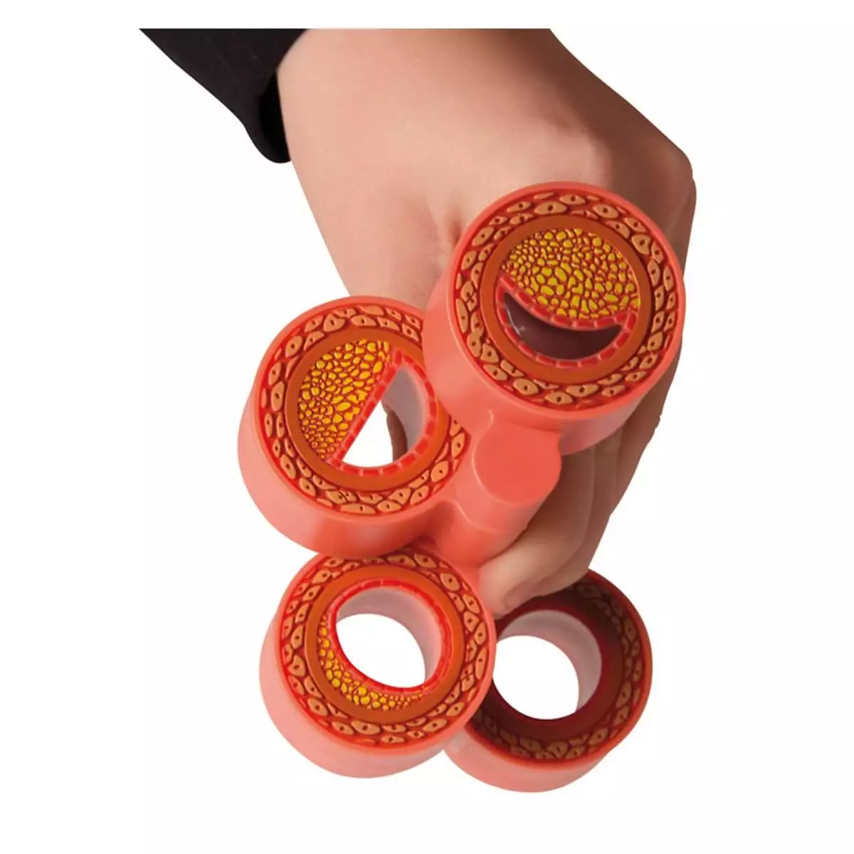  Modèle d'artériosclérose