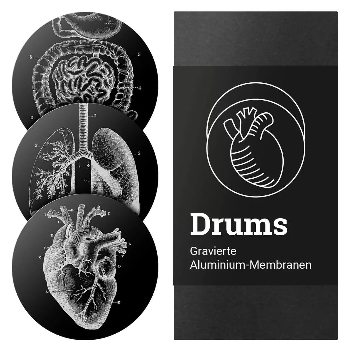  Kit de membranes gravées en aluminium « Drums »