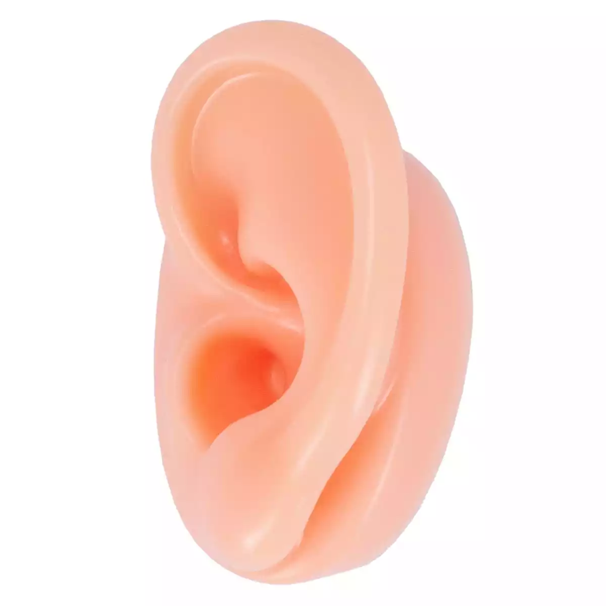 Oreille d'acupuncture  Oreille d'acupuncture