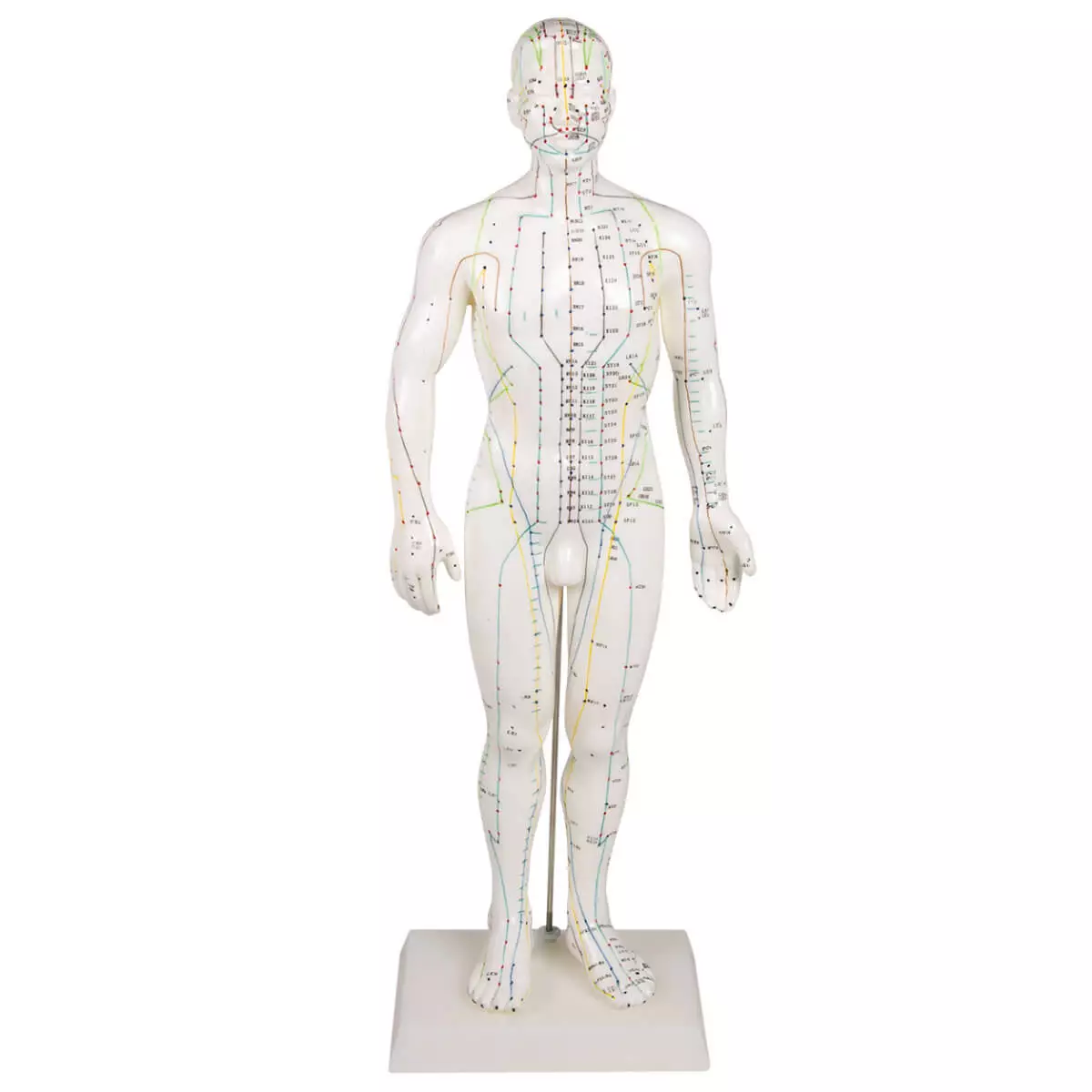  Figure d'acupuncture