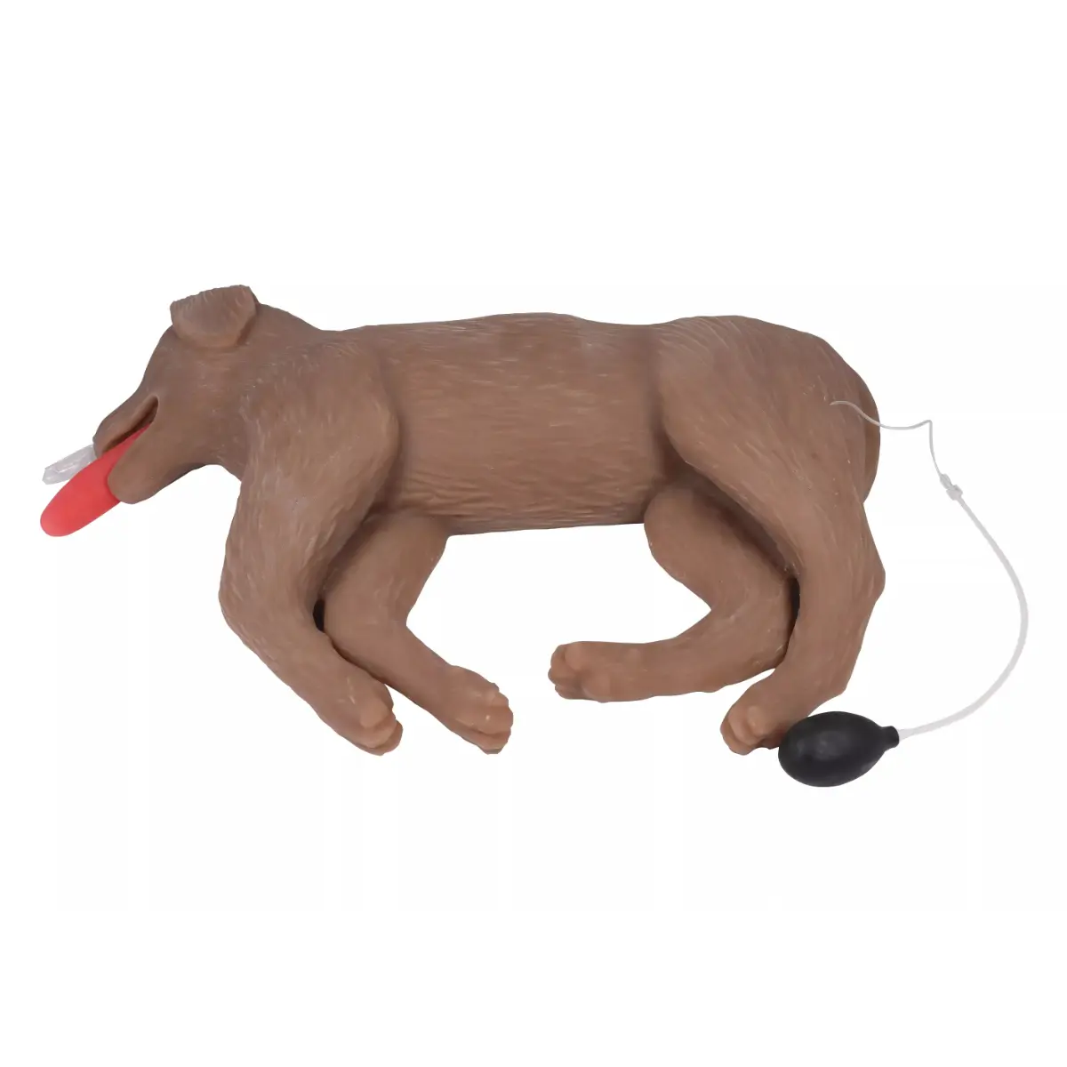  Mannequin de réanimation chez le chien « CooPeR »